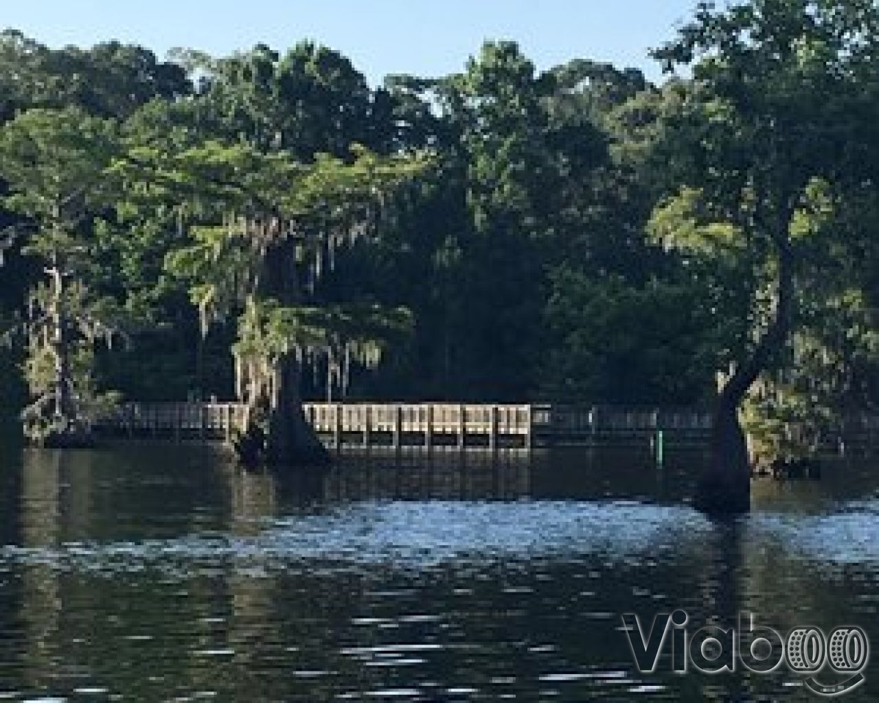 Chicot State Park: Louisiana's Hidden Gem for Nature Lovers