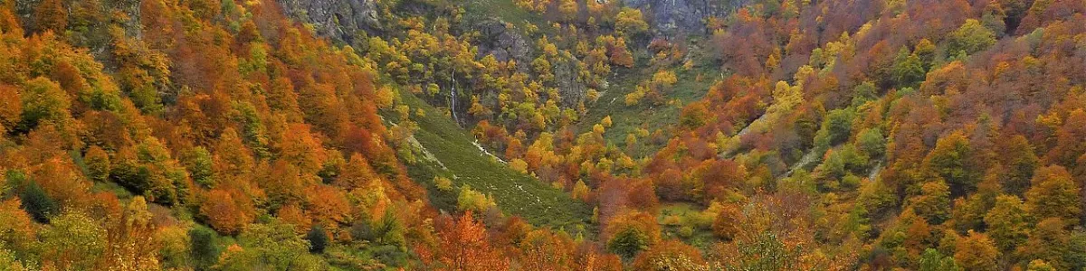 File:Parque Natural de Redes-Asturias-Spain.jpg - Wikimedia Commons