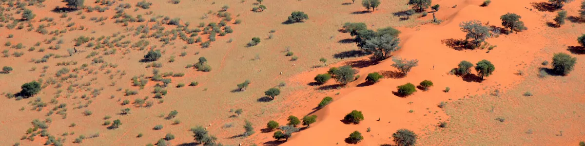 File:Sand dune in the Kalahari Desert (Namibia).jpg - Wikimedia Commons