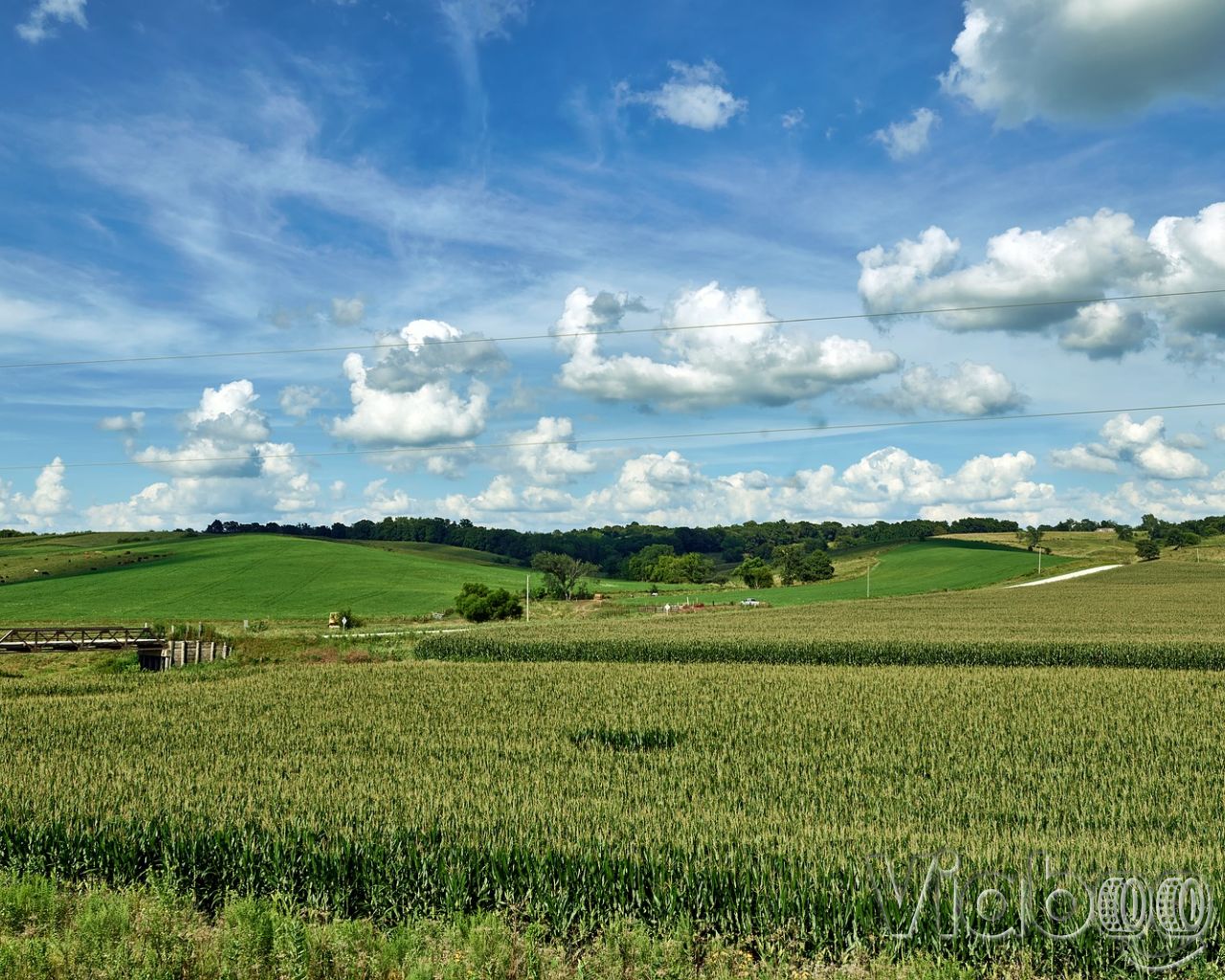 Viajes por carretera en Iowa | ViaBoo