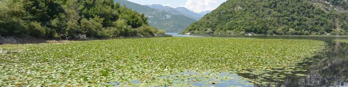 Skadar Lake Montenegro Journey - Free photo on Pixabay