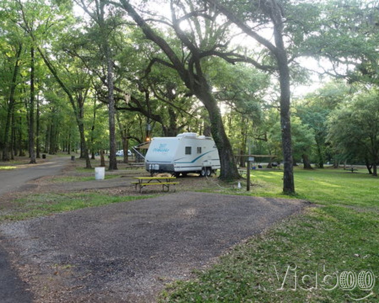 Escape to the Wild: Louisiana's Acadiana Wilderness Campground