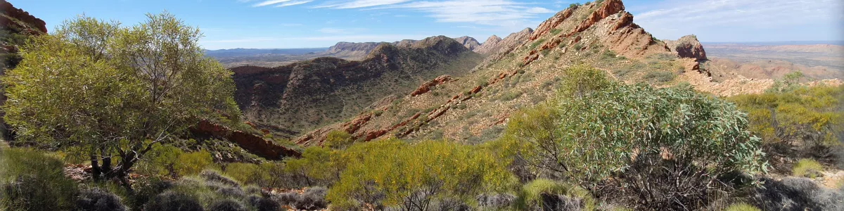 File:West Macdonnell Ranges Larapinta Trail section 4 path to Brinkley  Bluff.jpg - Wikimedia Commons