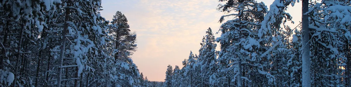 Winter Road North Finland