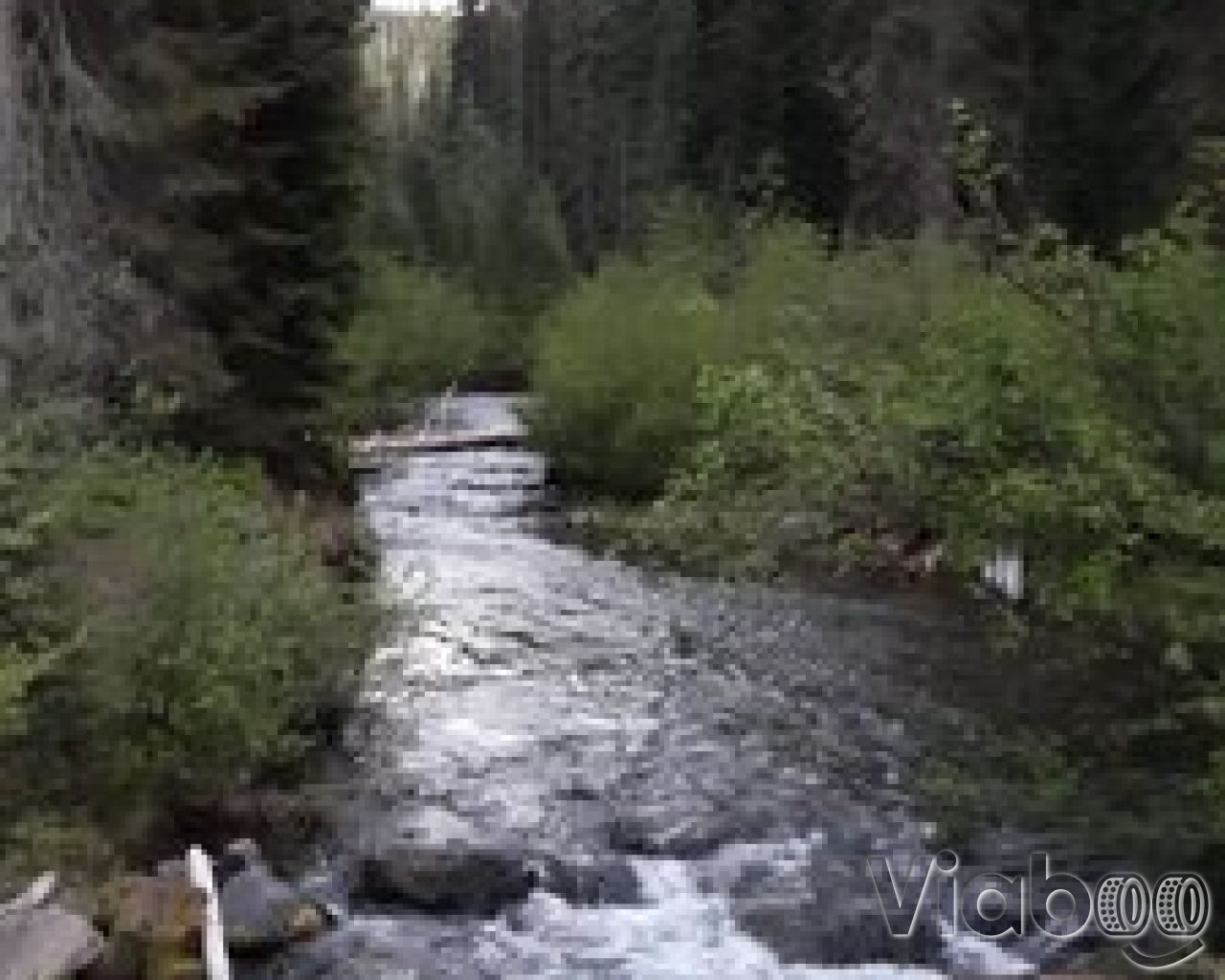 Trapper Creek Campground