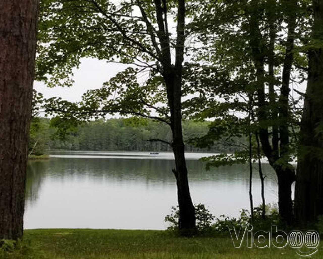 Starrett Lake Campground
