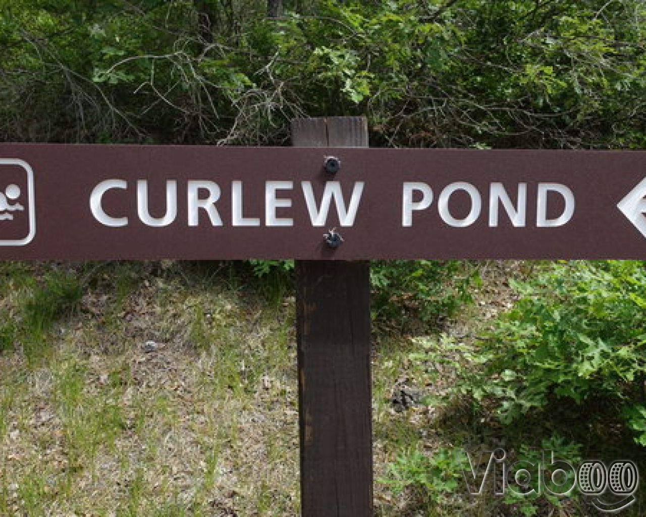 Curlew Pond Campground