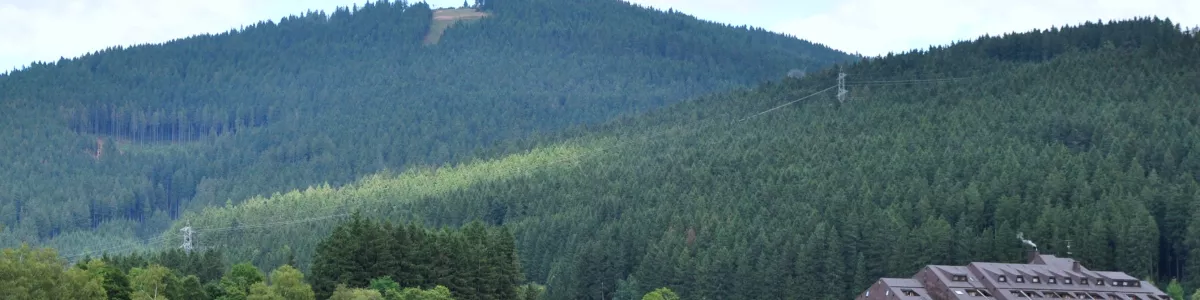 File:4 of 10 - Lake Titisee, Black Forest - GERMANY.jpg - Wikimedia Commons