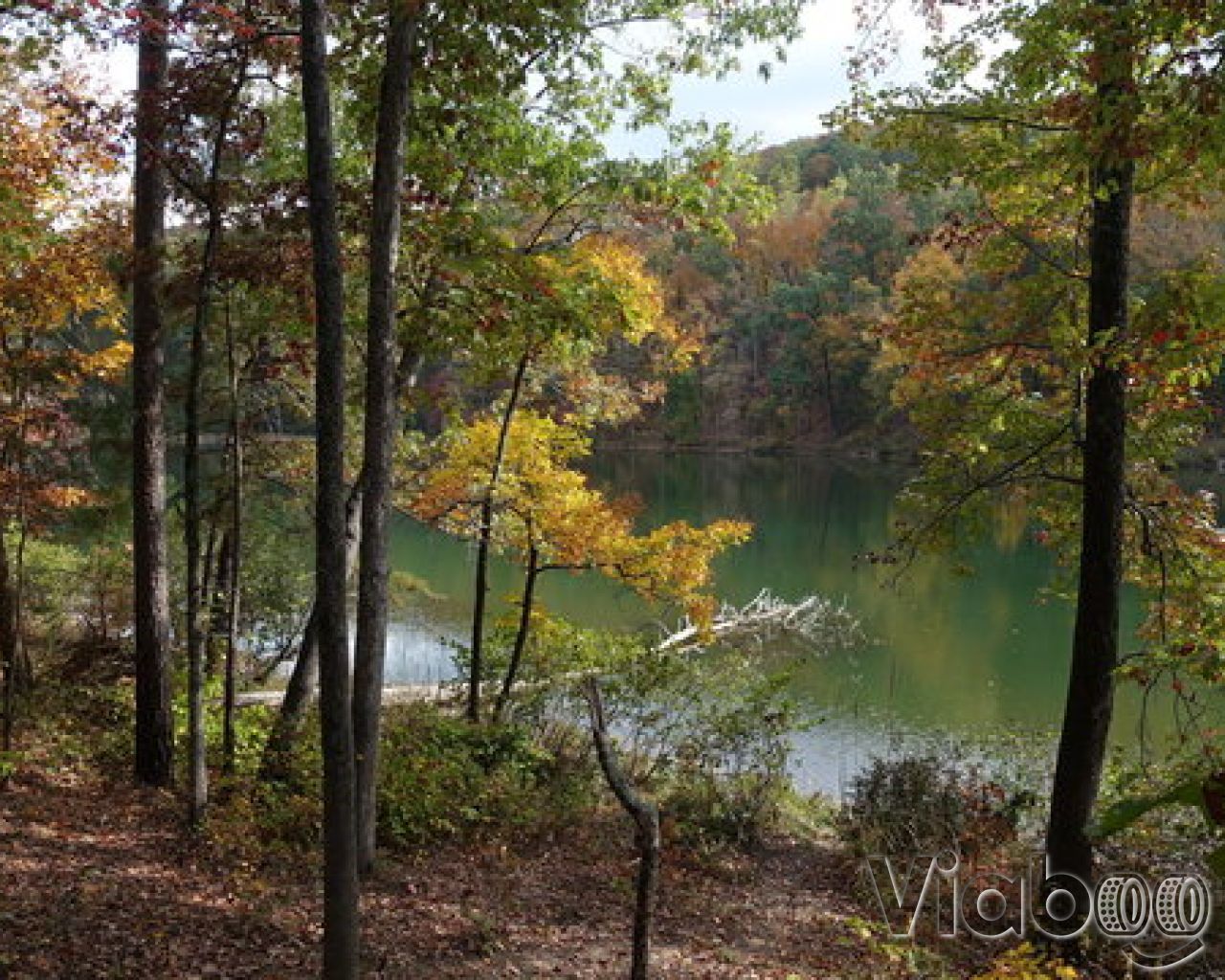 Escape to Serenity: Unveiling the Charms of Georgia's Lake Russell Recreation Area