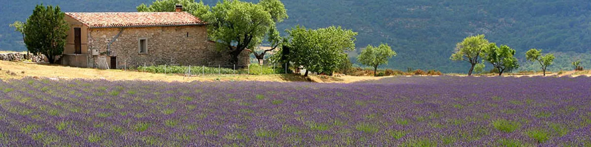 קובץ:Landscape Provence France 1.jpg ...