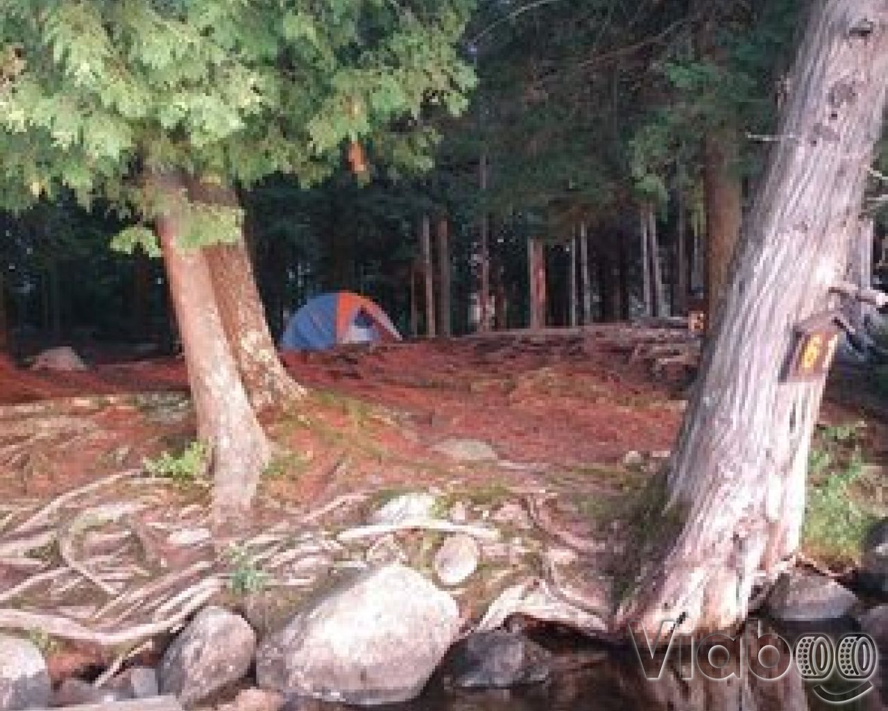 Forked Lake Campground