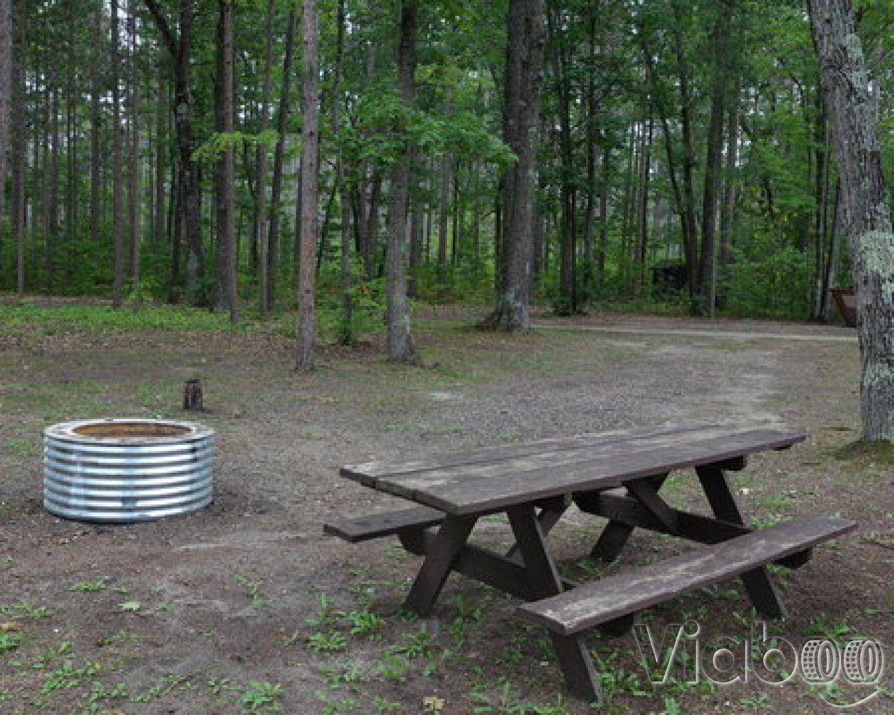 Thunder Bay River State Forest Campground