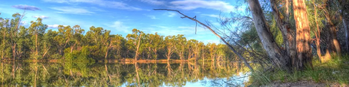 Murray River | Murray River near Yelta, Victoria, Australia | Chris Fithall  | Flickr