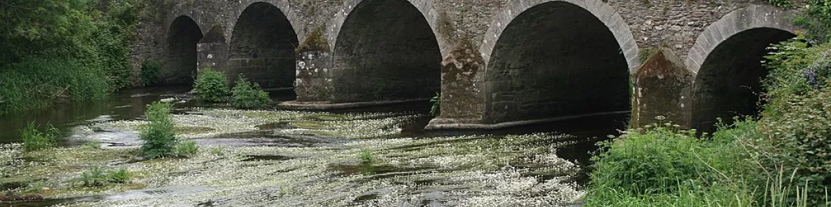 File:The Derry River in Clonegal - geograph.org.uk - 1790987.jpg -  Wikimedia Commons