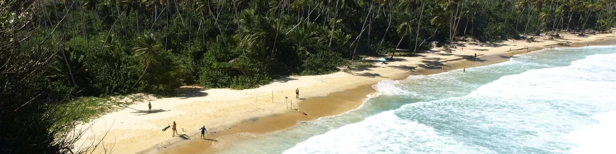 File:CHORONI ESTADO ARAGUA 02.JPG - Wikimedia Commons