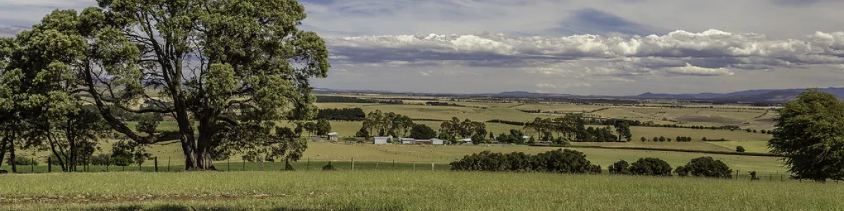 Glenview_credit Niall Duncan/Roberts Real Estate Western J… | Flickr