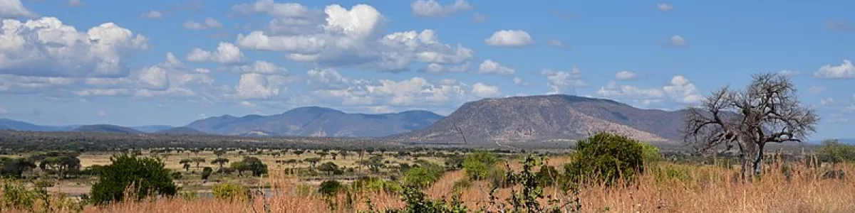 File:Ruaha National Park landscape (16) (28926077252).jpg - Wikipedia