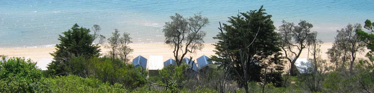 File:View over Mornington Beach.jpg - Wikimedia Commons