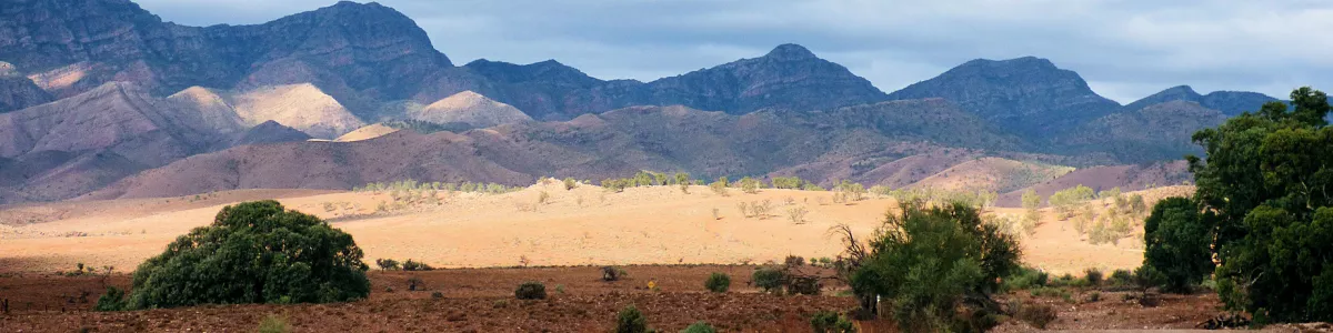 File:Ikara-Flinders Ranges National Park 07.jpg - Wikimedia Commons