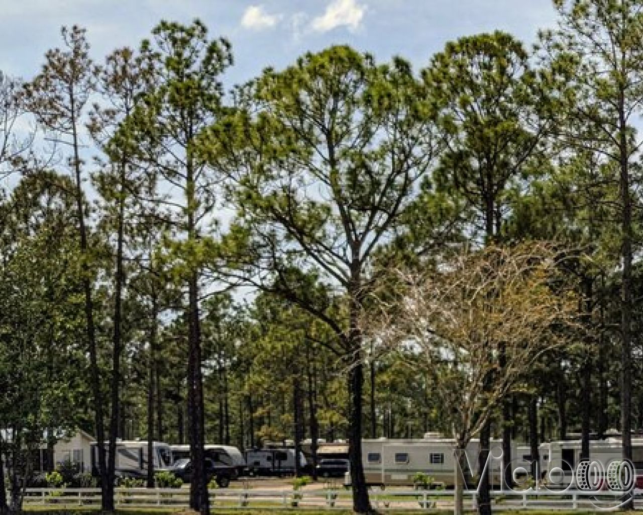 Royal Palms RV Resort & Campground