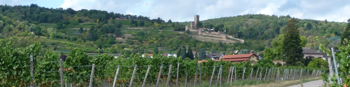 File:Ruïne Wächtenburg aan de Deutsche Weinstrasse.jpg - Wikimedia Commons