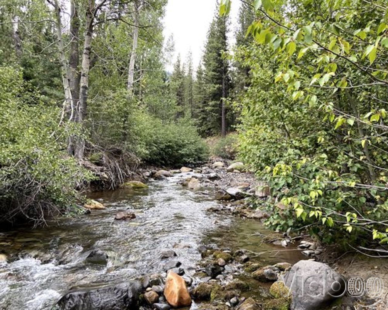 Wolf Creek Campground