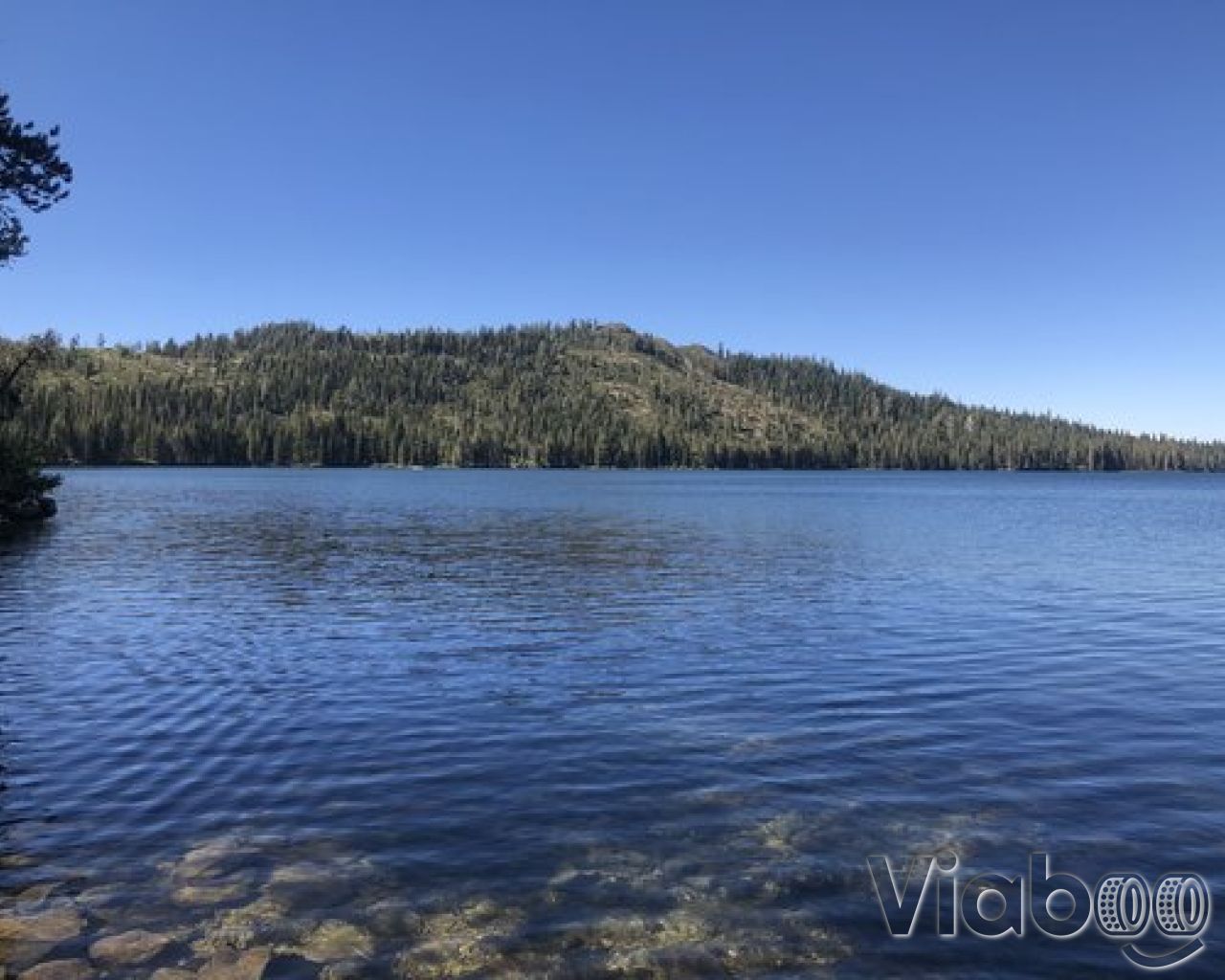 Gold Lake: Your Northern California Adventure Awaits!