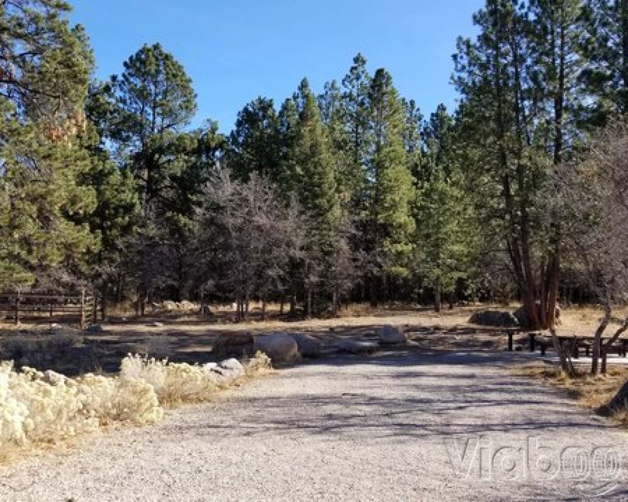 Pine Valley Equestrian Campground