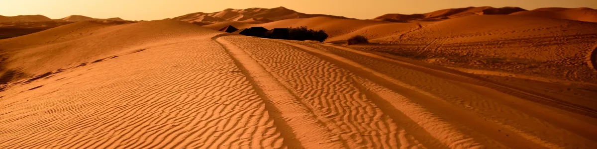 Desert track