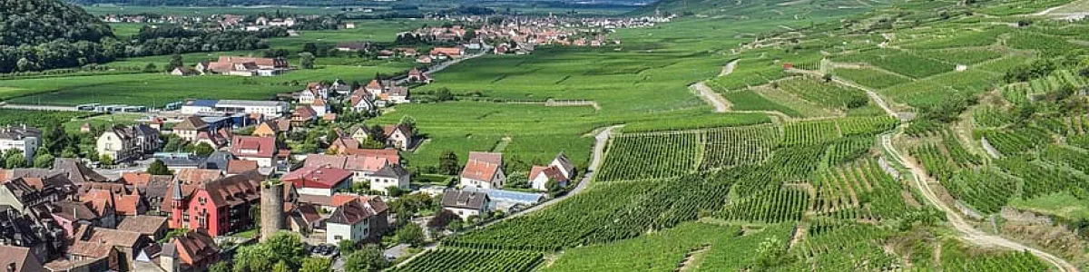 alsace, view, panorama, vosges, colmar, kaisersberg, vineyard, vineyards,  nature | Pikist