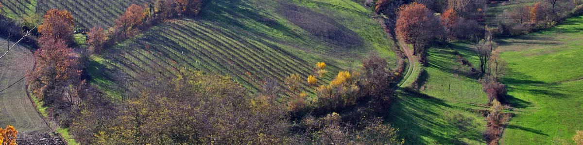 Free Images : landscape, mountain, hill, valley, cliff, autumn, italy,  agriculture, terrain, ridge, plateau, ecosystem, vineyards, campaign, rural  area, landform, emilia romagna, aerial photography, geographical feature,  mountainous landforms, hills ...