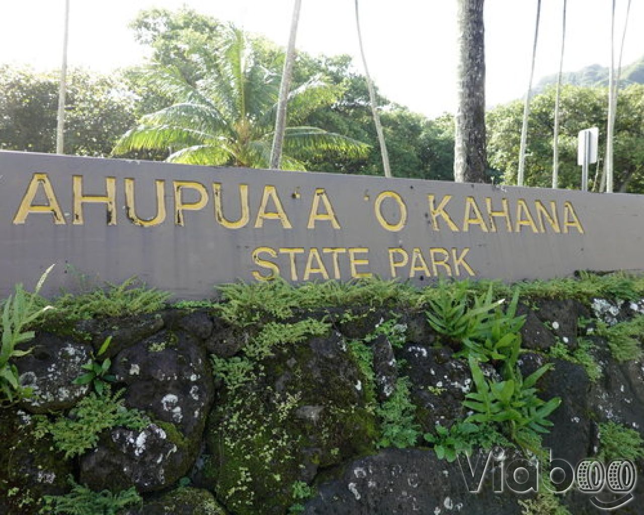 Escape to Paradise: Unwind at Ahupuaʻa O Kahana State Park