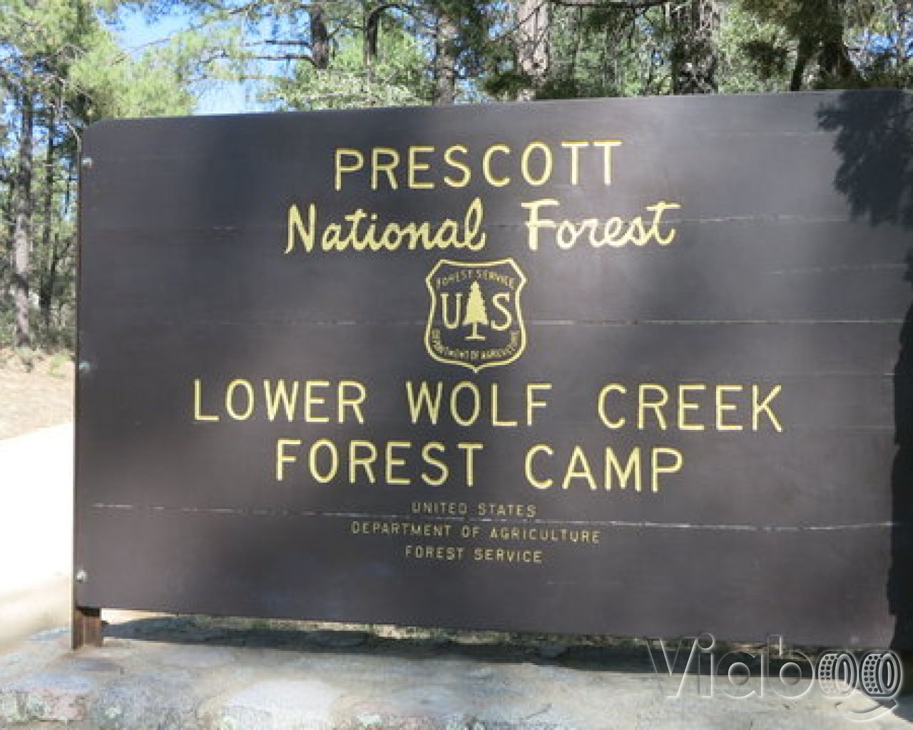 Escape to the Arizona Wilderness: A Guide to Lower Wolf Creek Campground