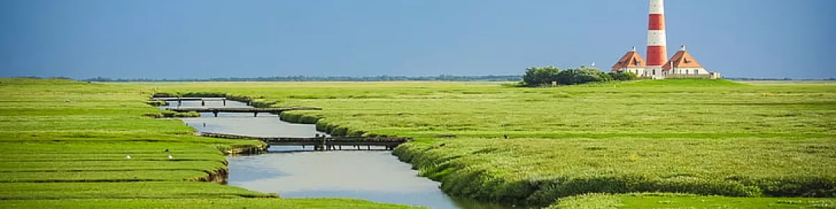 Royalty-Free photo: Lighthouse surrounded by greeneries | PickPik