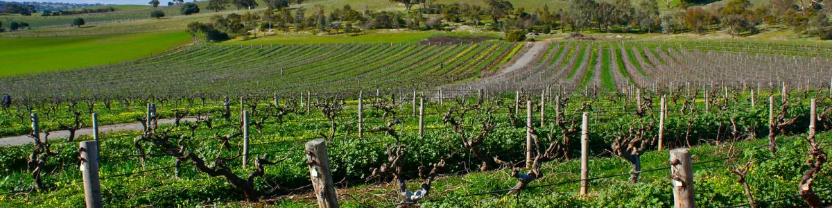 The Barossa Valley - 10 | Kyle Taylor | Flickr