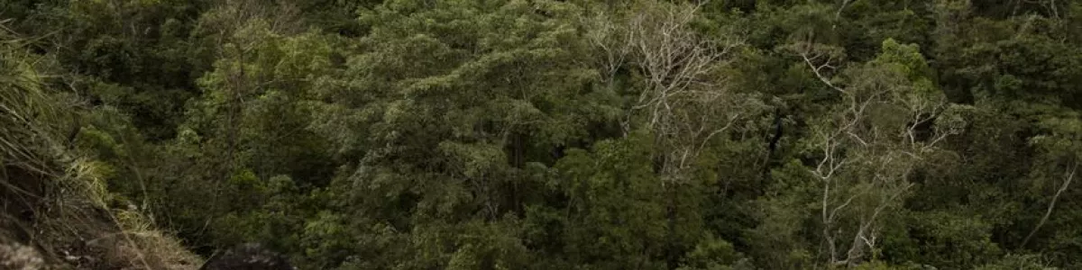 File:Cerro cora.jpeg - Wikipedia