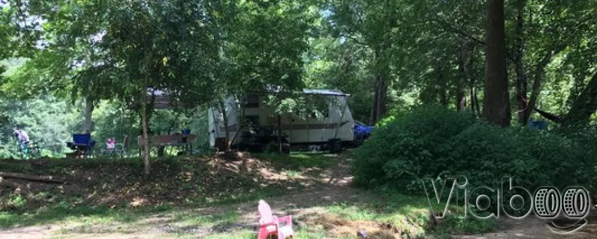 are dogs allowed in sandy creek state park