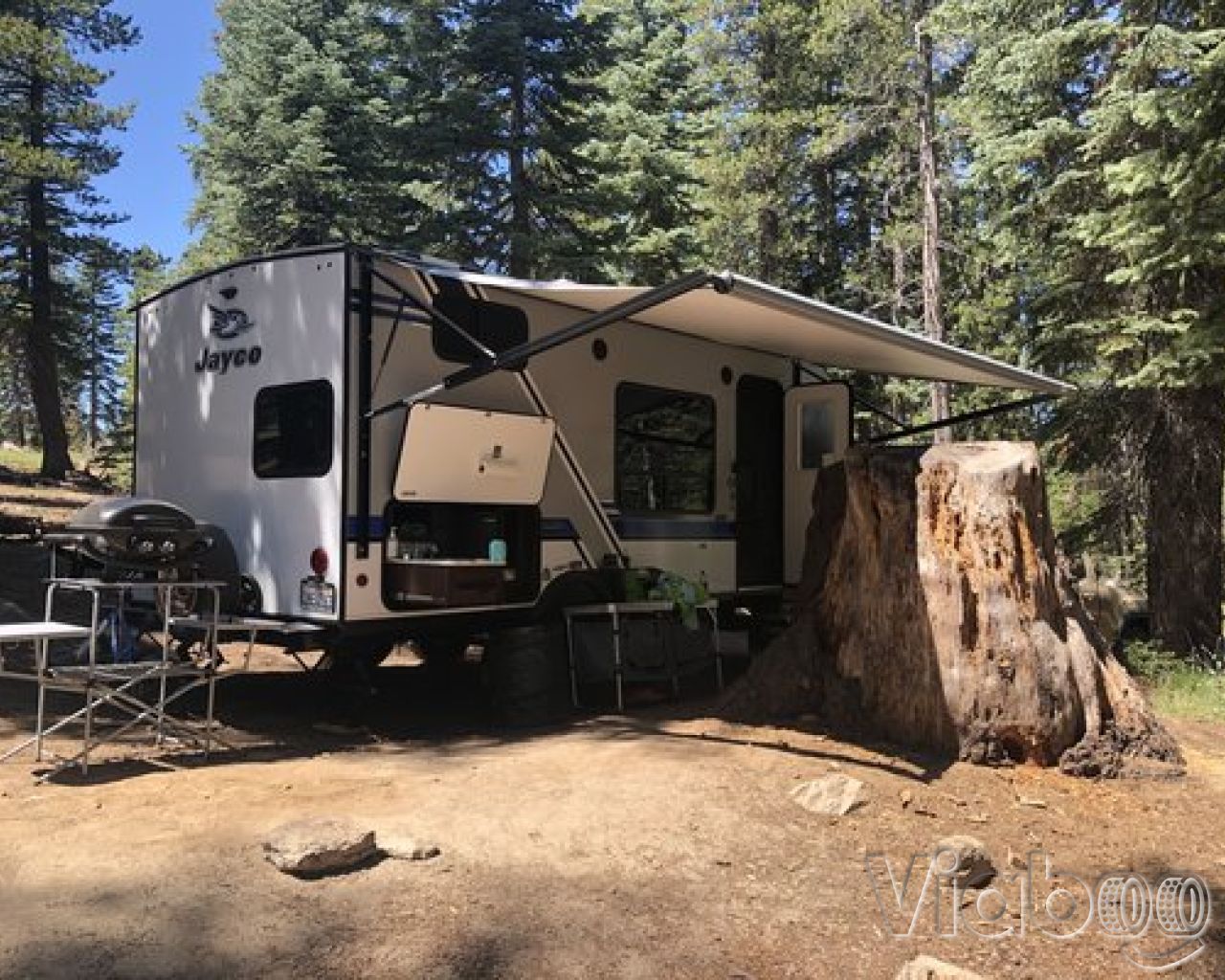 Escape to the Emerald Embrace: Northern California's Pine Marten Campground