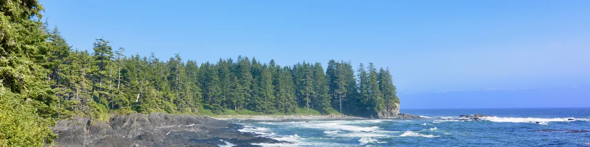 Vancouver Island landscape shoreline image - Free stock photo - Public  Domain photo - CC0 Images