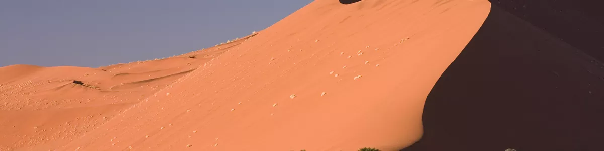 Fichier:Dune45 Sossusvlei Namib Desert Namibia Luca Galuzzi 2004.JPG —  Wikipédia