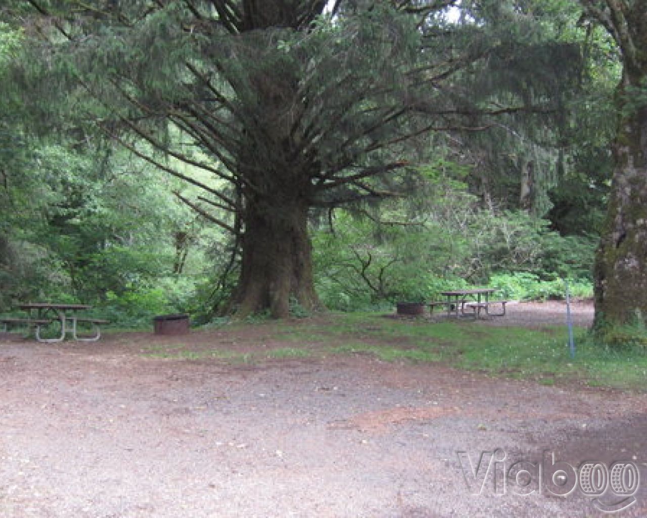 Kilchis River Campground