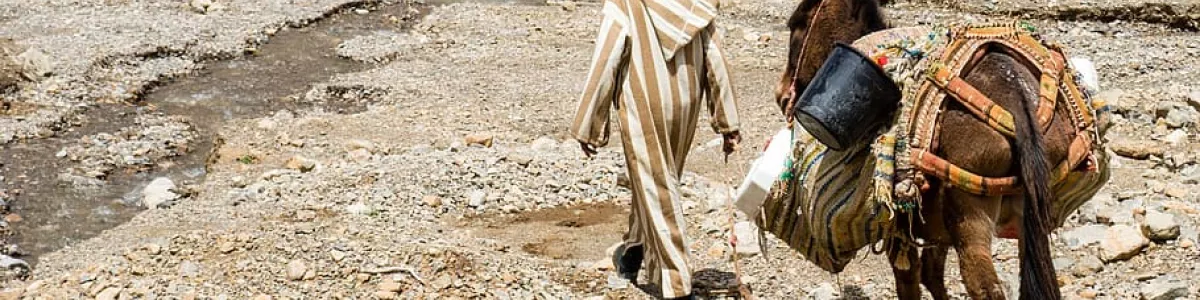 HD wallpaper: man walking on mountain, donkey, ride, arabic, atlas mountain  | Wallpaper Flare