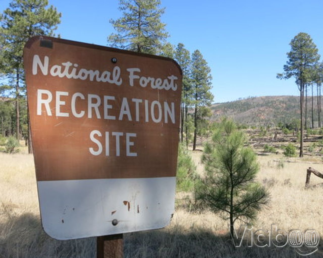 Upper Canyon Creek Campground