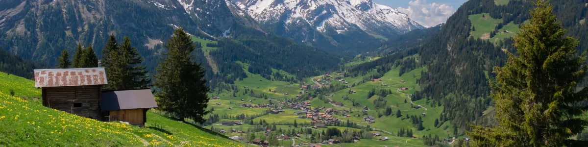 Switzerland Alps