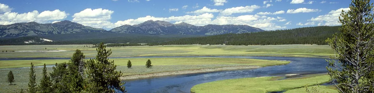 File:Yellowstone River in Hayden Valley ...