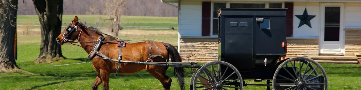 Indiana Amish Land