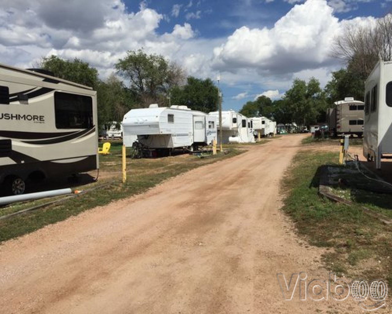 Escape to the Pines: Your Guide to Colorado's Falcon Meadow Campground