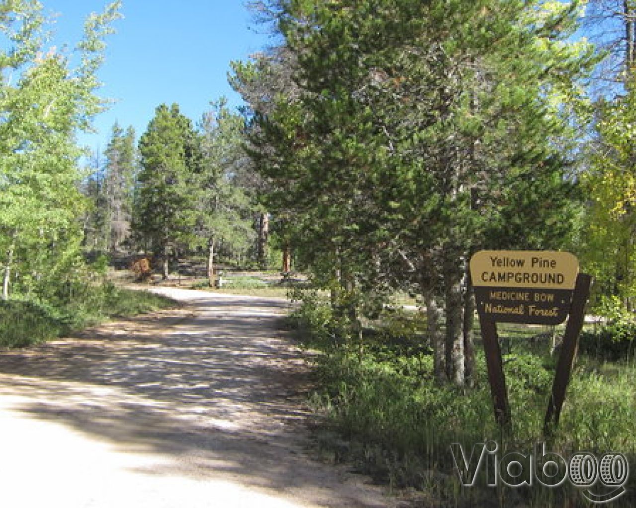 yellow pine campground        
        <figure class=