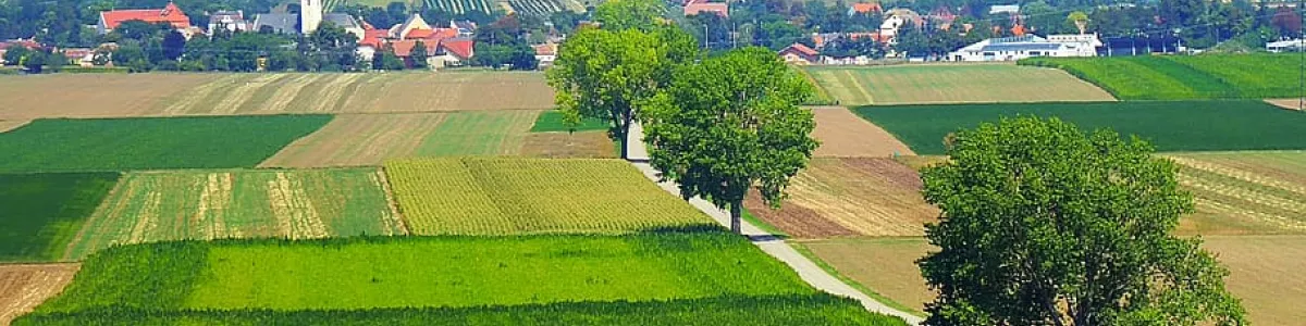 Weinviertel 1080P, 2K, 4K, 5K HD ...