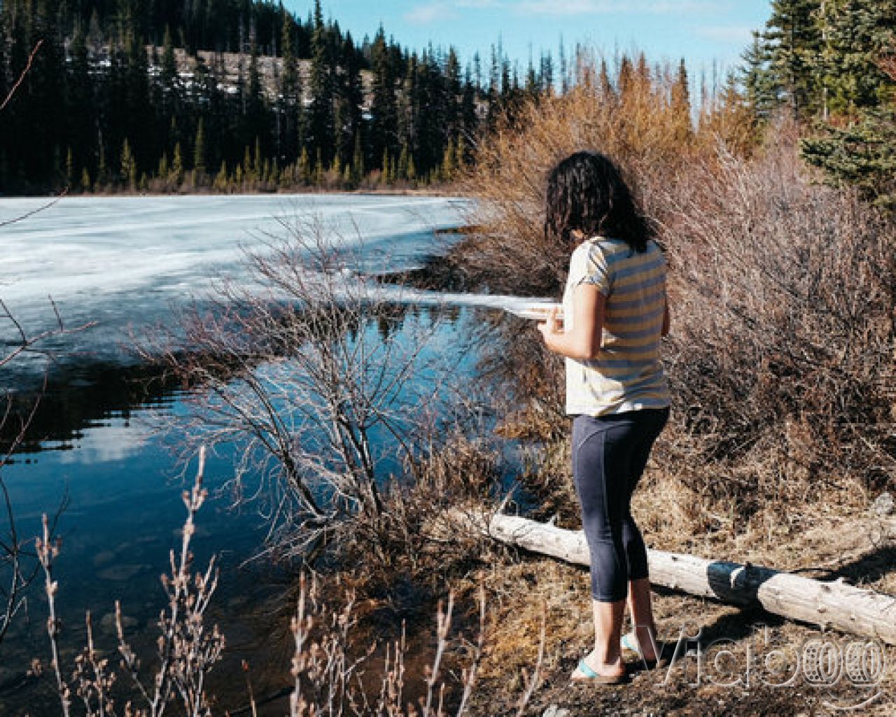 Lodgepole Lake Campground